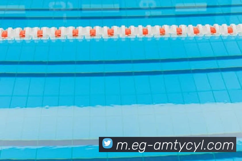 澳门太阳城品牌故事