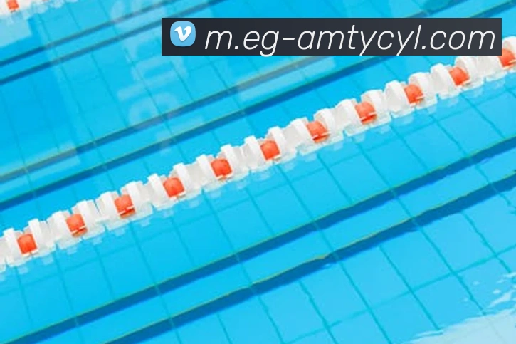 澳门太阳城服务体系